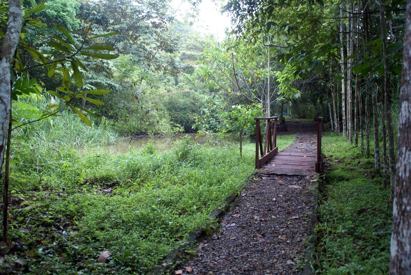 En Panamá el Parque Natural Metropolitano es el pulmón vegetal de la ciudad. Fotos Cecilia Rodriguez El pulmón de la ciudad en el Parque Metropolitano
