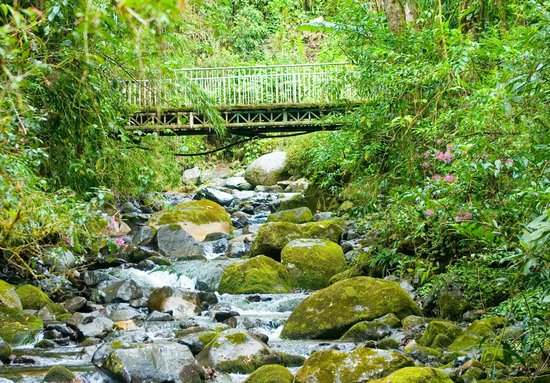 Avances en Los Quetzales, Chiriquí