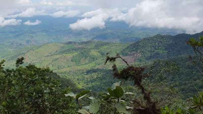 Panamá creará un plan de turismo sostenible en reserva natural