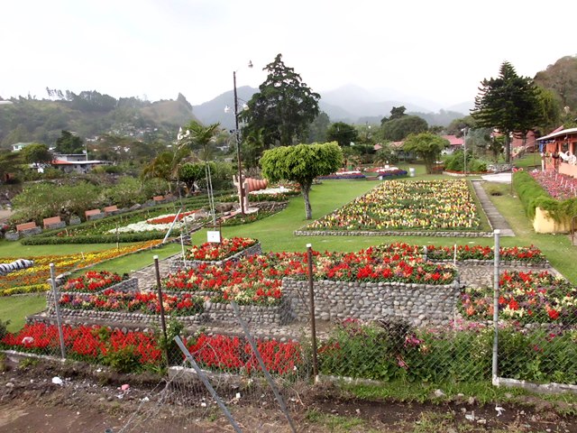 Feria de las Flores y el Café de Boquete inicia 8 de enero