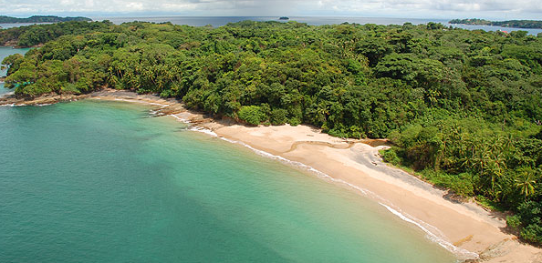 Productos del mar lideran exportaciones panameñas