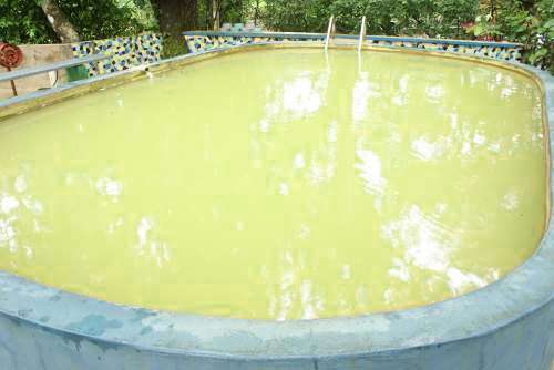 El agua tibia de estos pozos medicinales emana de la tierra. Los milagrosos pozos termales del Valle de Antón