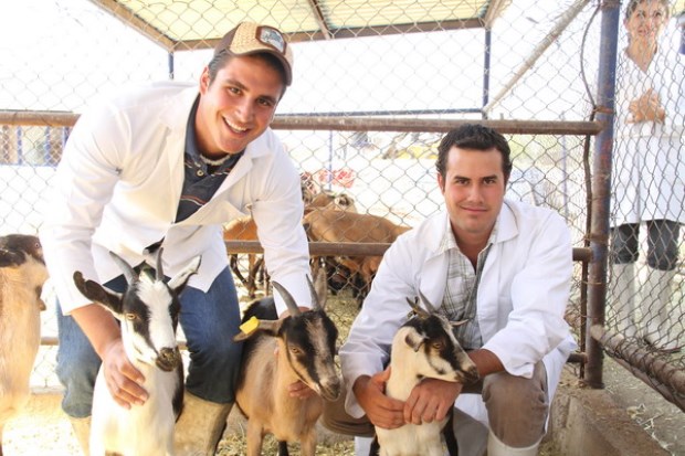 Veterinarios panameños se capacitan en nuevas tecnologías