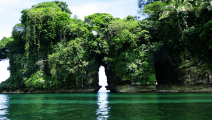 Proyecto Ecotur