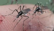 Se registran casos de Zika en la capital