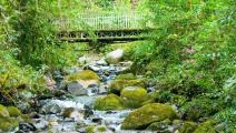 Avances en Los Quetzales, Chiriquí