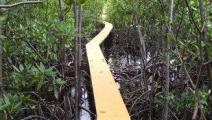 Caribbean Nature recibe premio a Innovación Turística