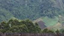 Parque La Amistad, atractivo de Cerro Punta