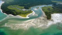 En Coiba científicos encuentran compuesto contra leishmaniasis