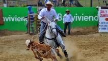 La Feria de Tanara cumple 35 años
