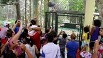 Festi Harpía 2015 reunió a más de ocho mil personas en Summit 