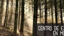 Mesoamérica creará centro de excelencia virtual de monitoreo forestal